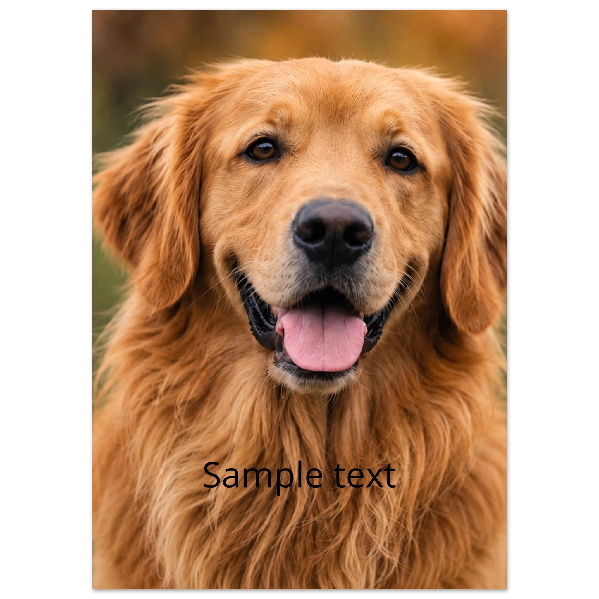 5efad245-1890-4a6a-be00-31bdafa495da